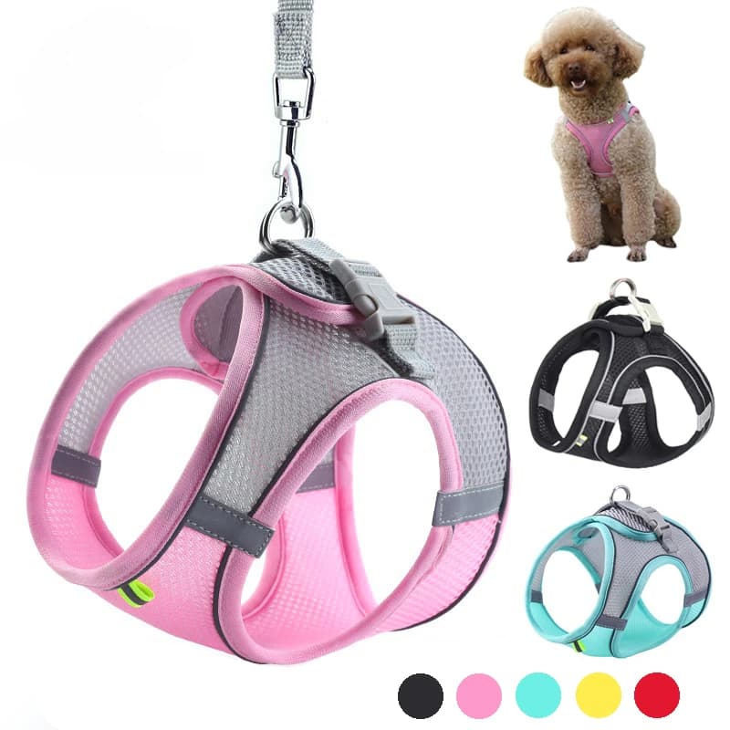 Welpen geschirr Set Hunde zubehör verstellbare Welpen-und Katzen geschirr weste französische Bulldogge Chihuahua kleines Hunde halsband Haustier