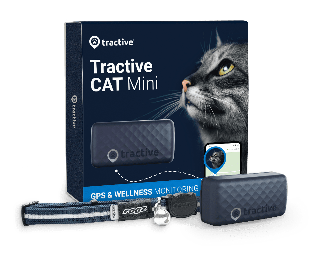 CAT Mini - Dunkelblau