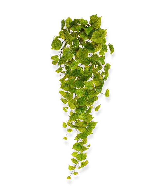 Künstliche Pappel Hängepflanze 80 cm