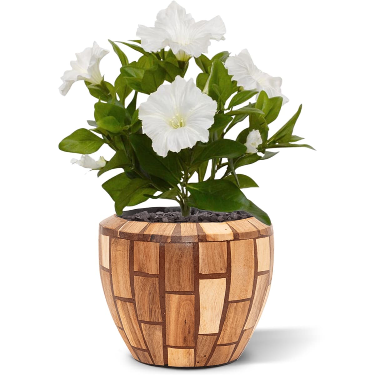 Künstliche Petunien Planze 25 cm creme