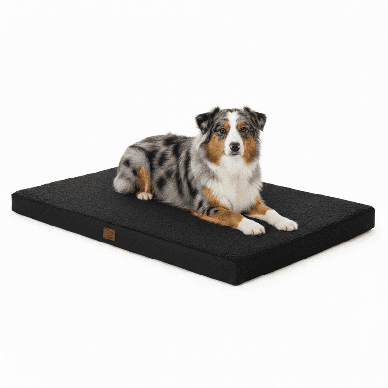 Bedsure Haustiermatte einfarbig Eierschalen-Noppenschaum Oxfordstoff Dunkelgrau 135 x 91 x 10 cm XL
