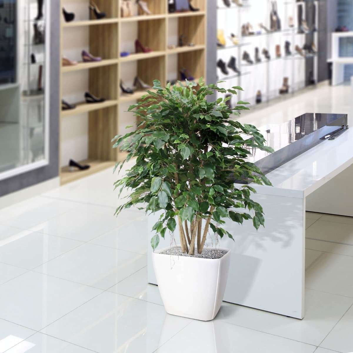 Ficus Exotica XL 110 cm Kunstpflanze